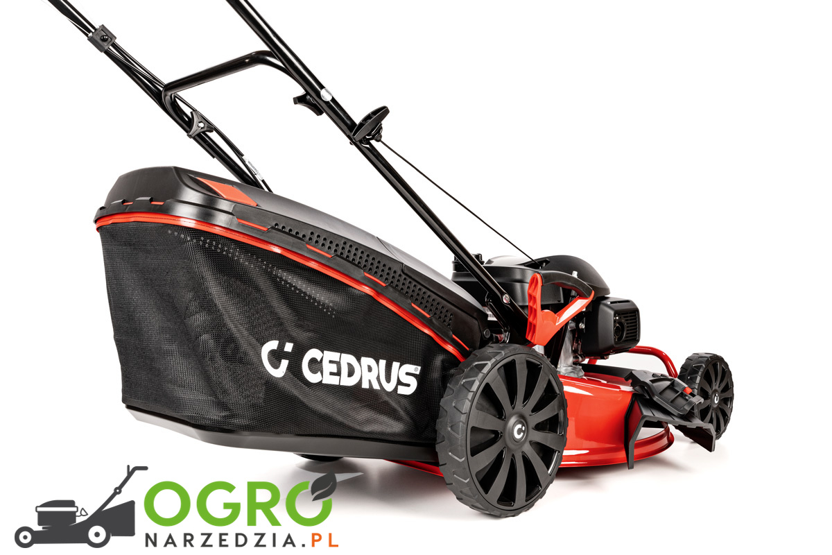 Kosiarka CEDRUS CEDKS56S-H z napędem - obrazek 6