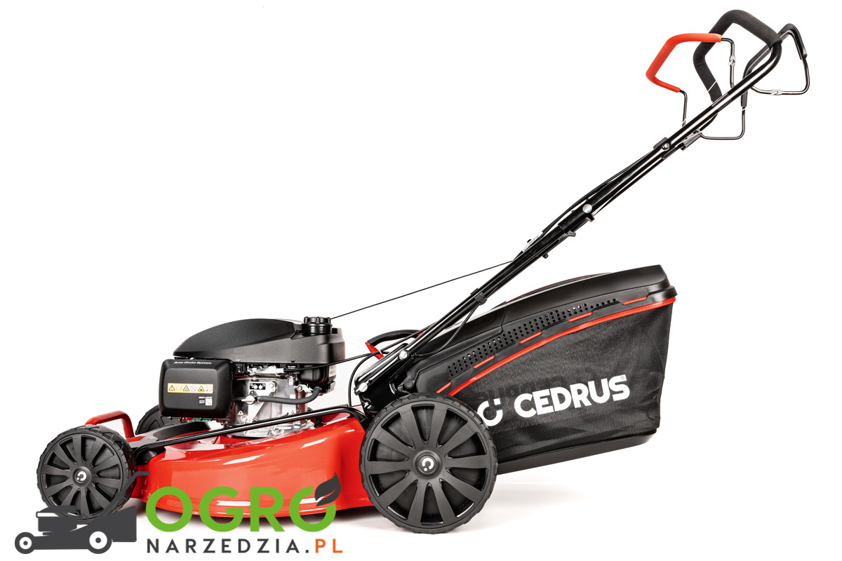 Kosiarka CEDRUS CEDKS56S-H z napędem - obrazek 11