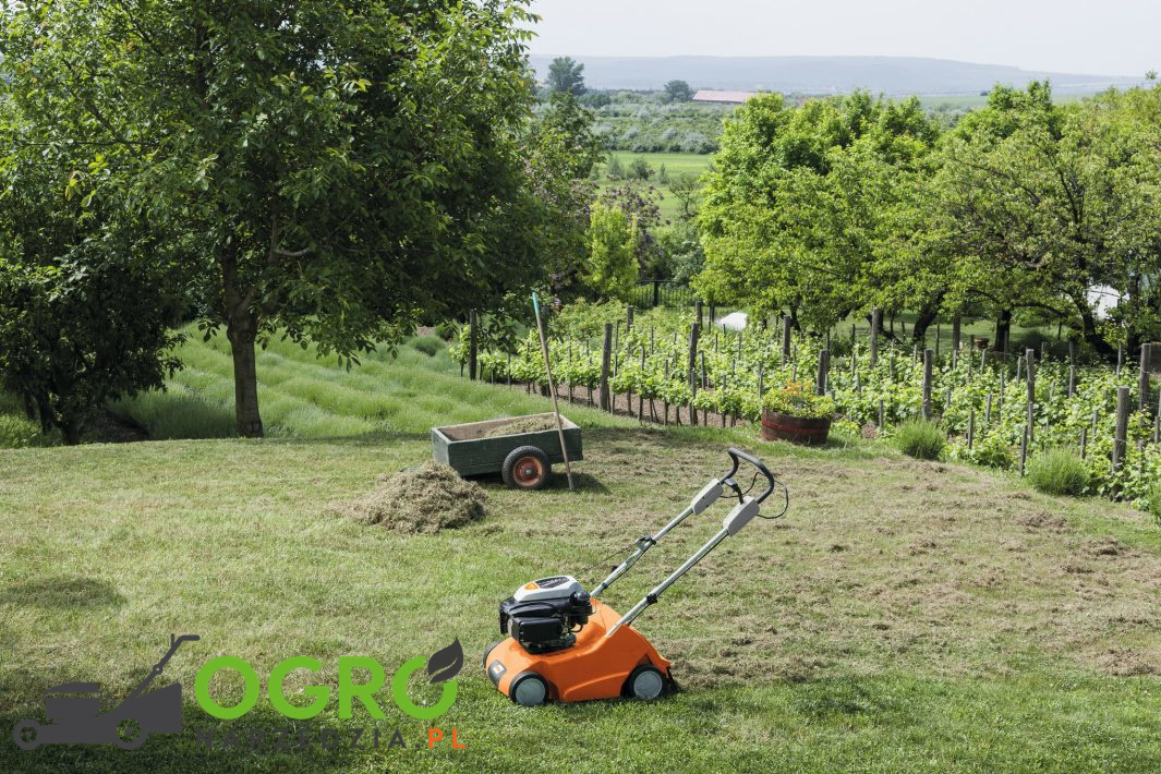 Wertykulator spalinowy RL 540 - obrazek 8