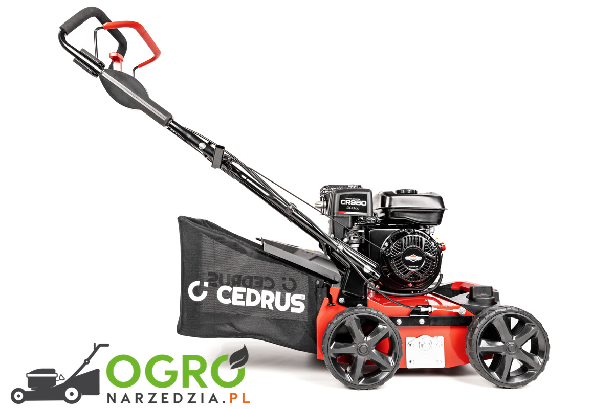 Wertykulator CEDRUS CEDWR01-B - obrazek 5