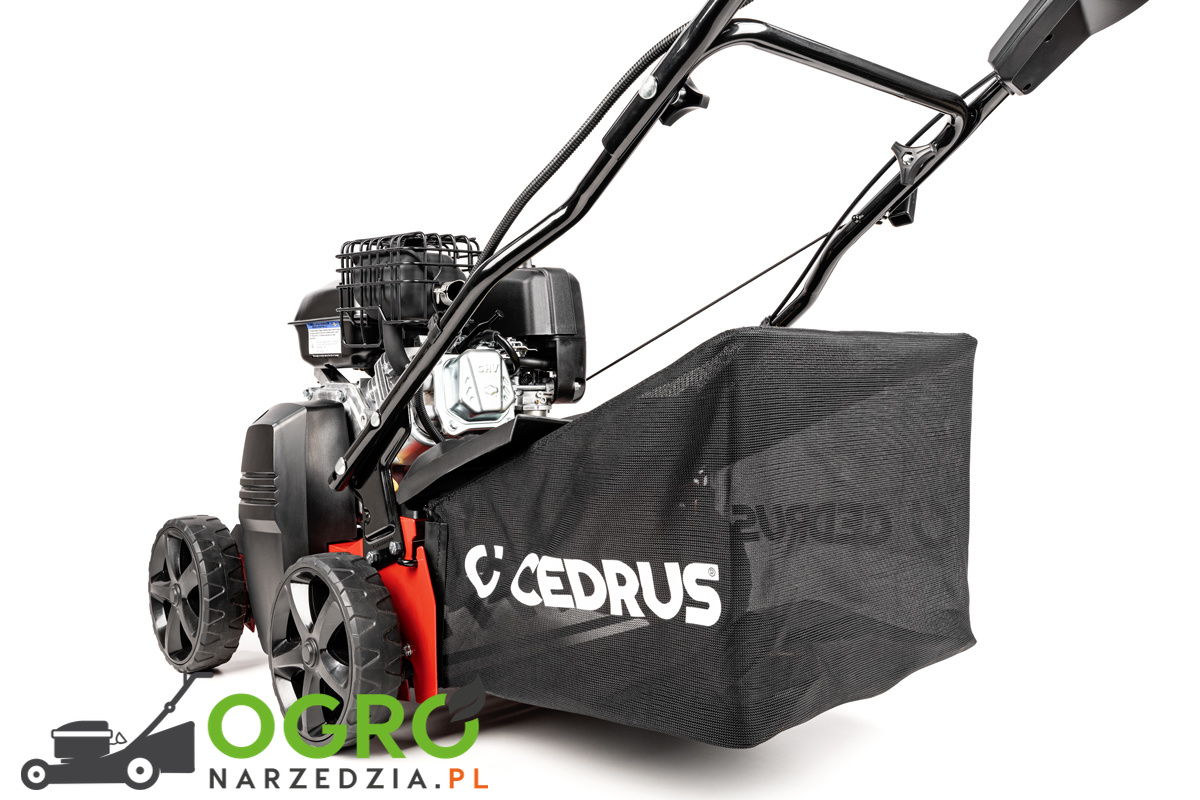 Wertykulator CEDRUS CEDWR01-B - obrazek 9