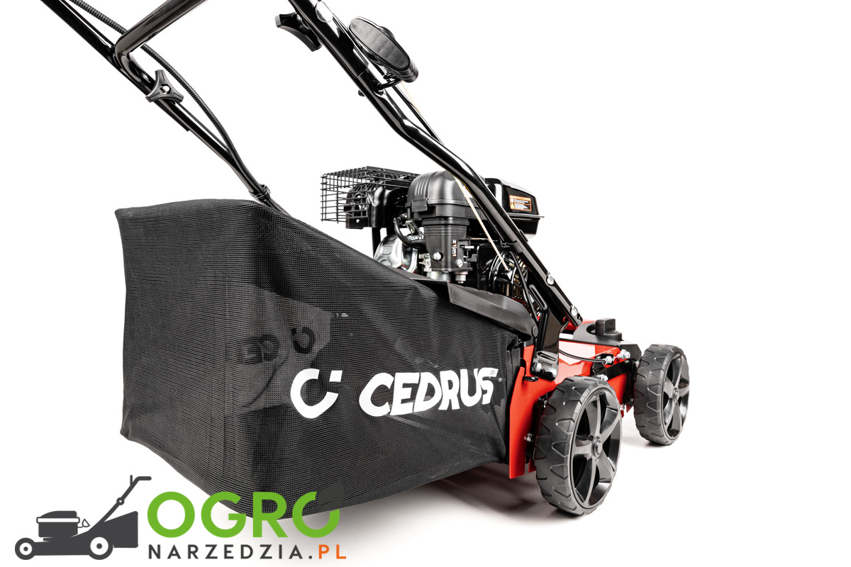 Wertykulator CEDRUS CEDWR01 - obrazek 6