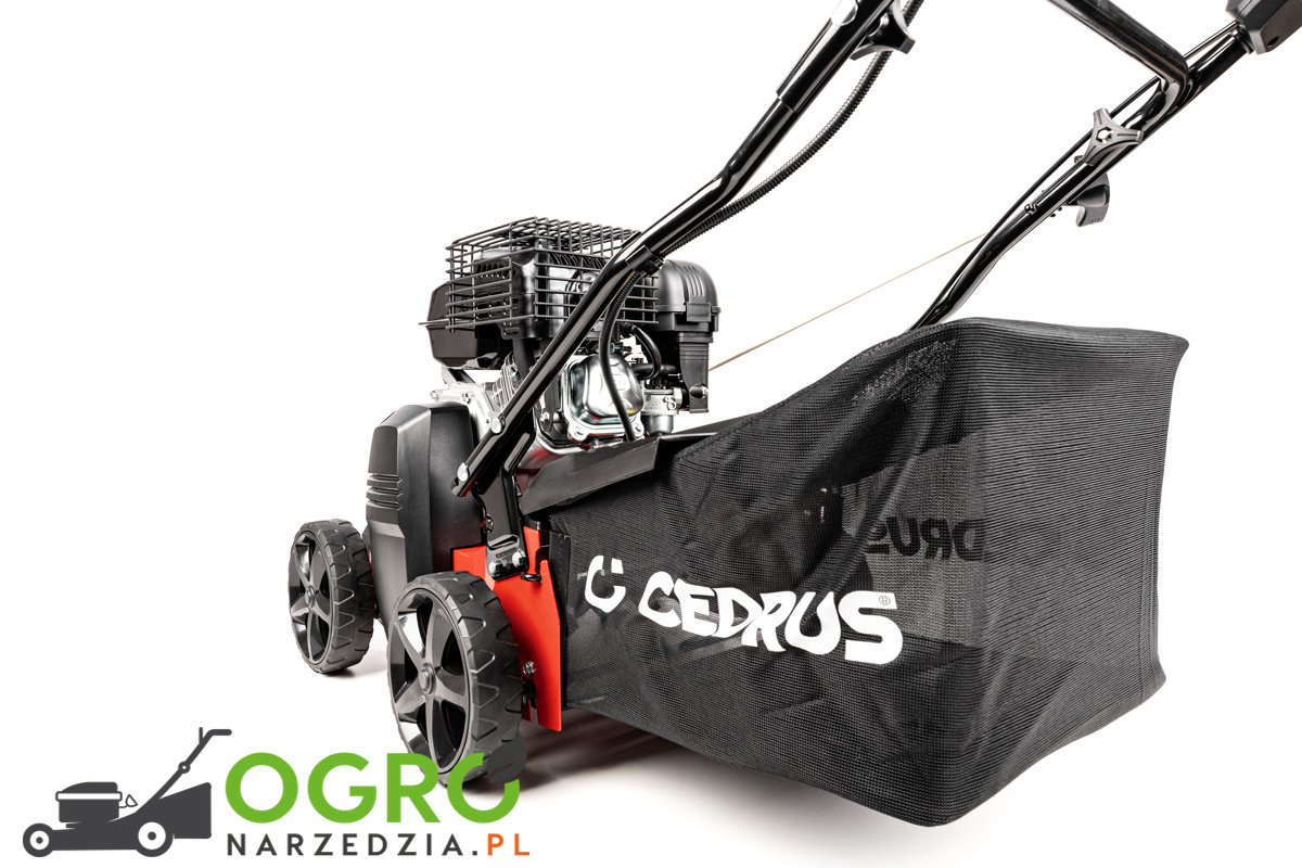Wertykulator CEDRUS CEDWR01 - obrazek 9